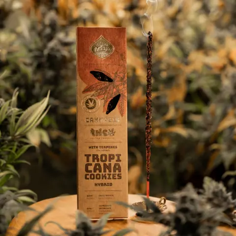 Sahumerio Cannabis - Tropicana Cookies