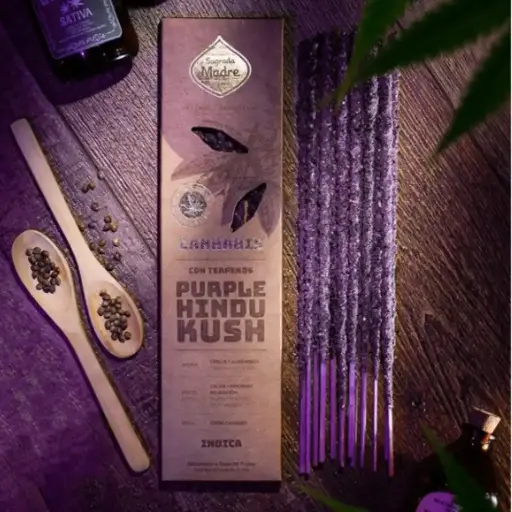 Sahumerio Cannabis - Purple Hindu Kush